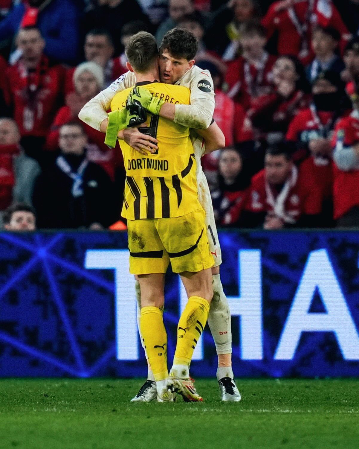 蒙特卡洛大师赛险胜戴维斯杯，蒂姆统治全场