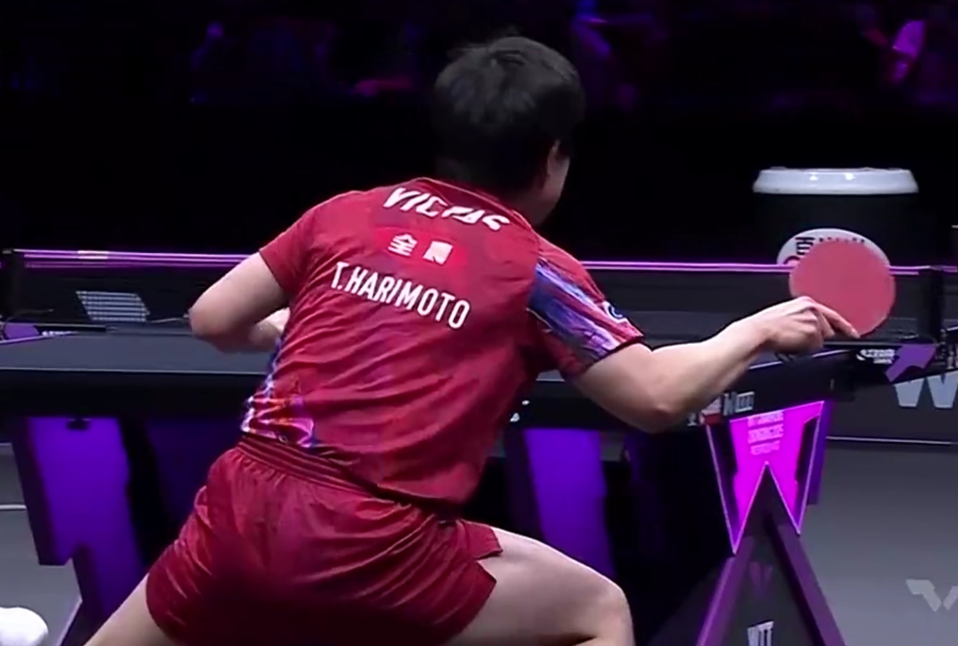 英格兰队绝杀中国队，张本智和统治全场