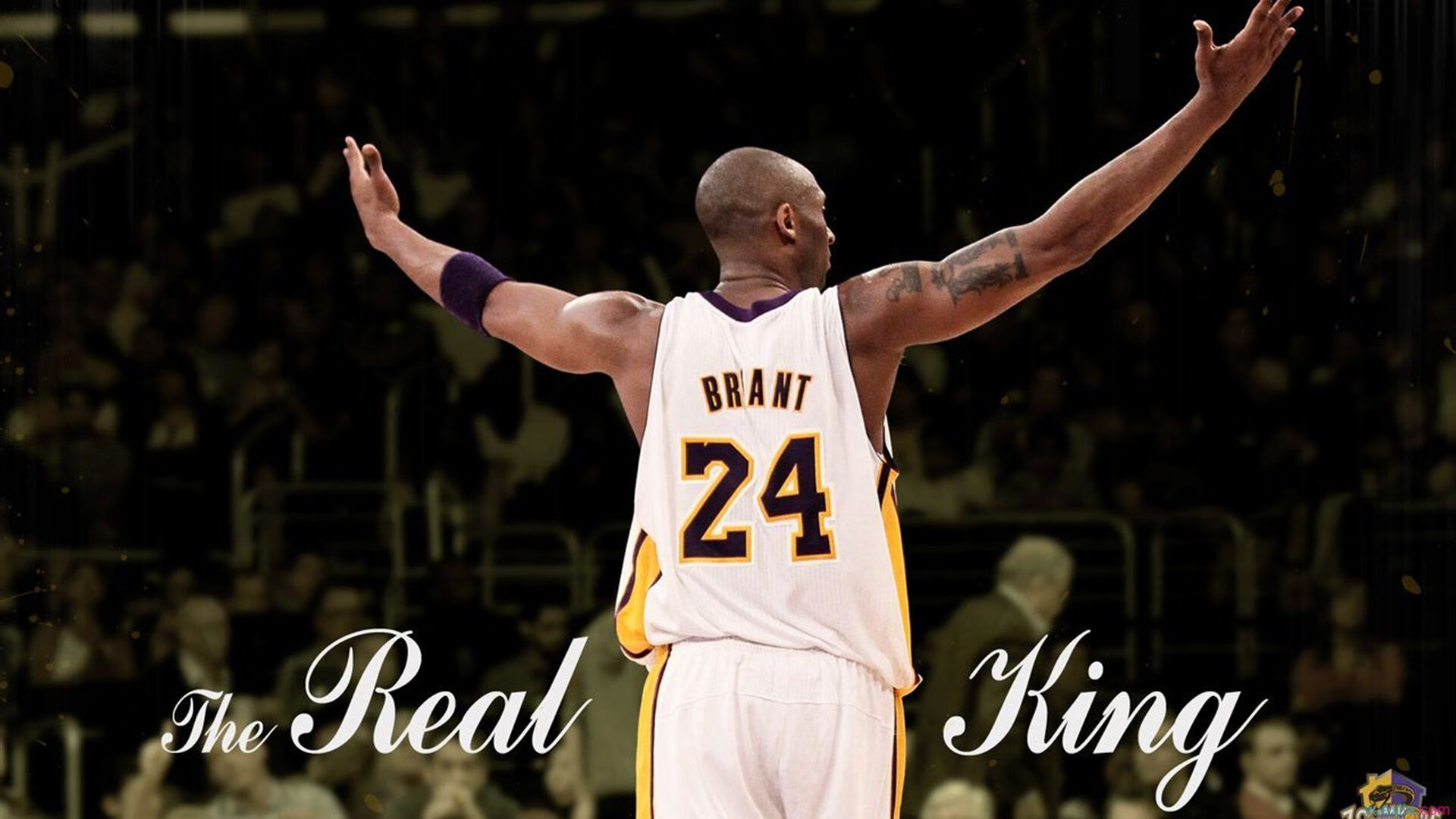 美加墨世界杯之夜，布克防守端锁死对手，诠释现代篮球的全面价值