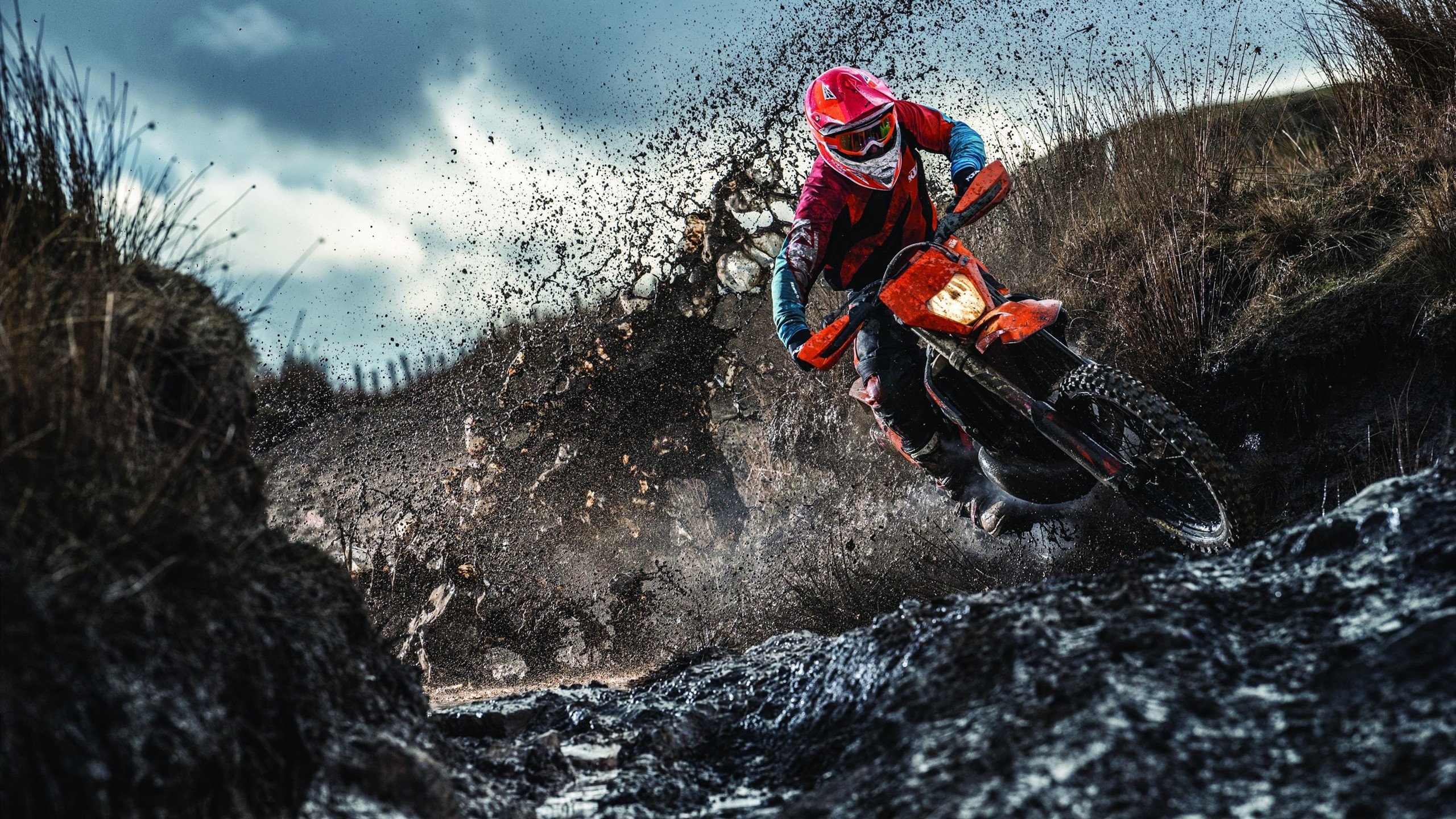 约基奇冠军级表现启示录，北京队如何收割雷霆式青春风暴？